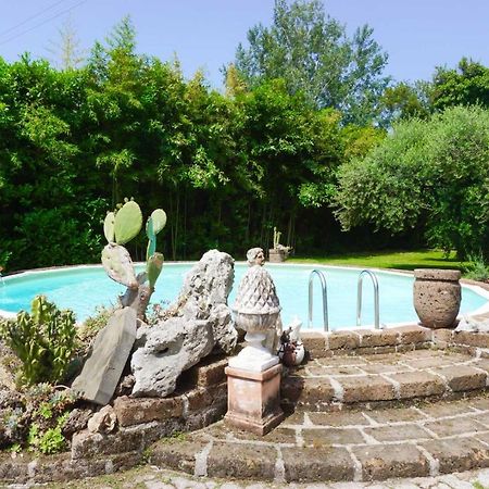 La Bouganville - Piscina E Relax Camaiore Buitenkant foto